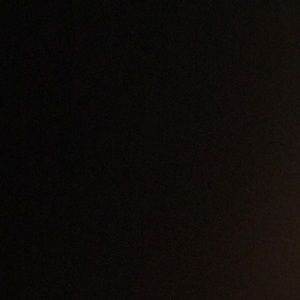 Meet your Posher, Oscar